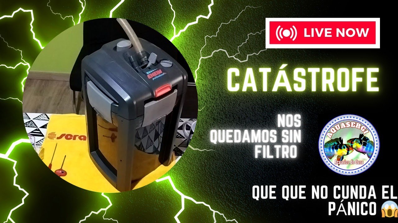 Reparación filtro EHEIM en 10 minutos, profesional 4+ 600 👌💯