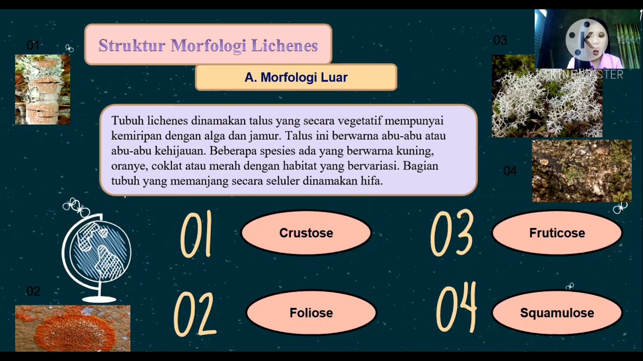 Taksonomi tumbuhan rendah ,MATERI  LICHENES.