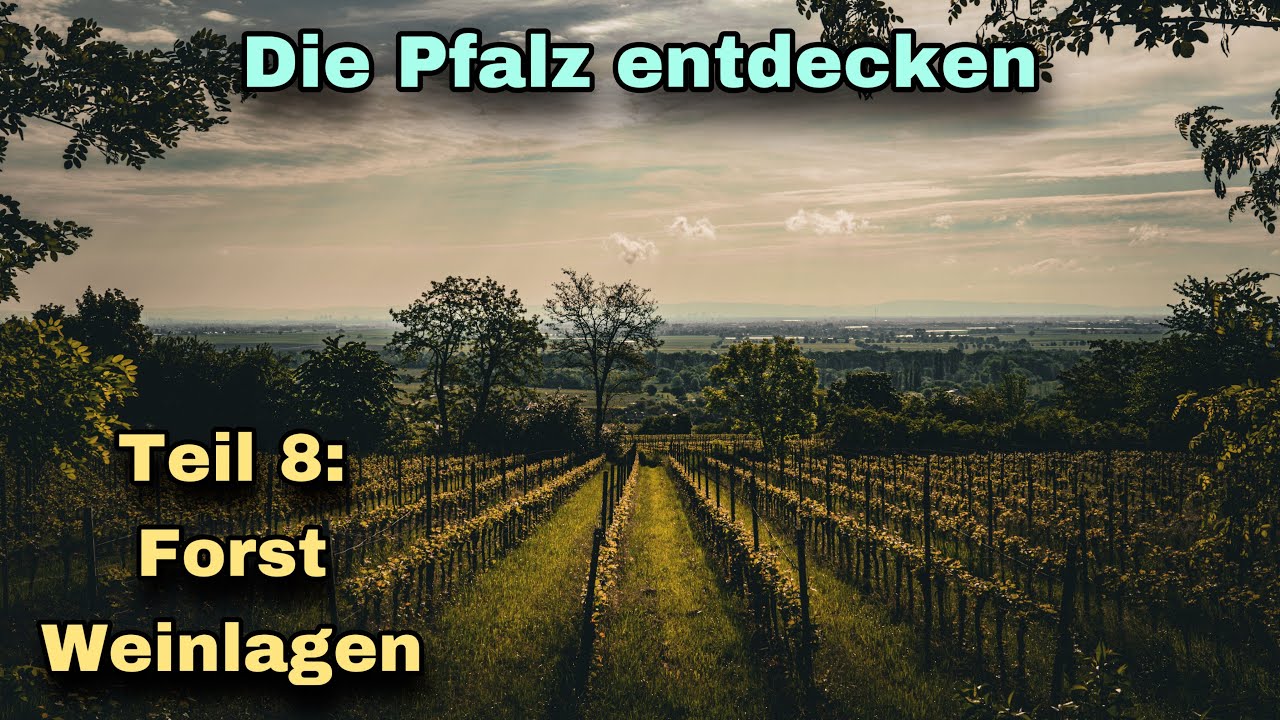 Die Pfalz entdecken | Teil 8: Forst | Weinlagen