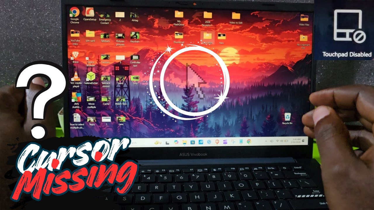 Laptop Cursor Disappeared {Touchpad disabled}