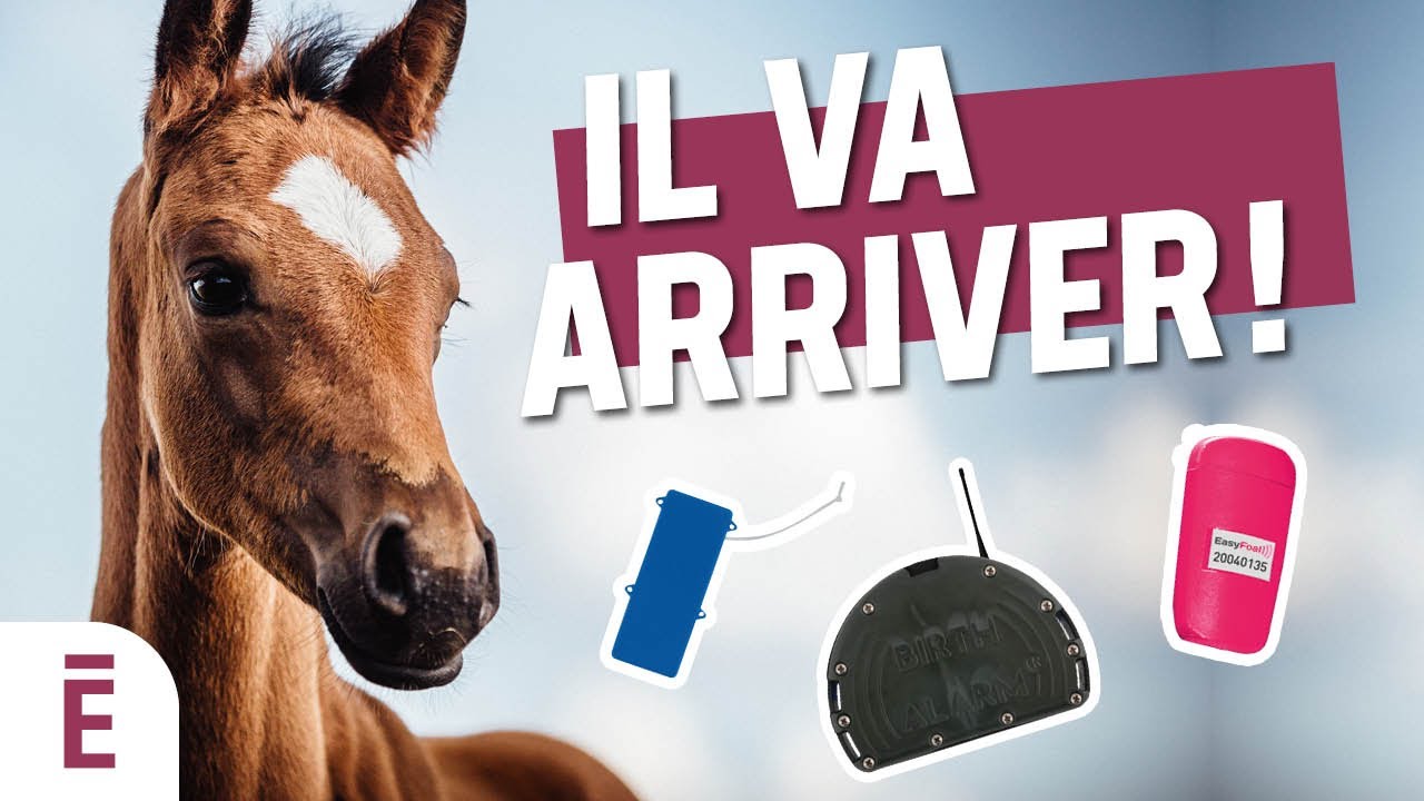 Systèmes de détection de poulinage : comment choisir ?