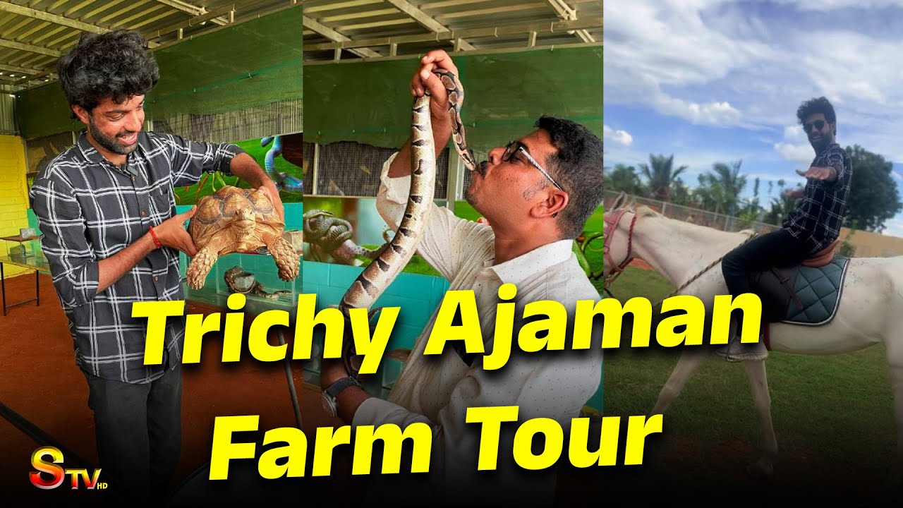 இந்த பண்ணைக்கு வந்து பாருங்க! | Ajaman Farms Tour | Vlog | STV