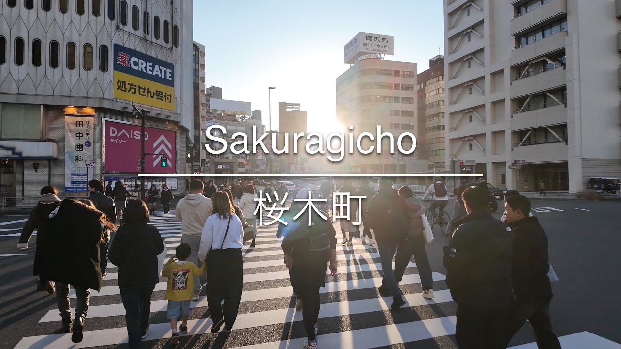 [4K] Sakuragicho 桜木町 [Kanagawa 神奈川] [Walk 散歩] #1649