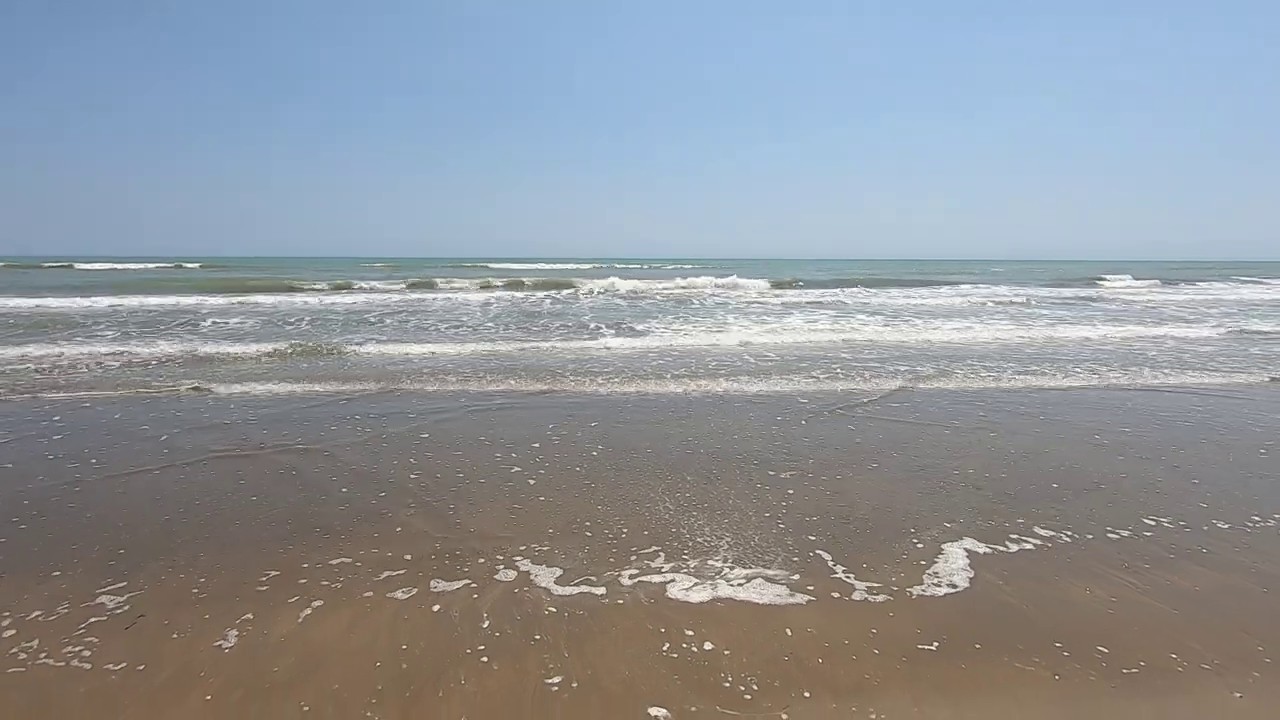 Spiaggia e pineta della Brussa (Caorle)