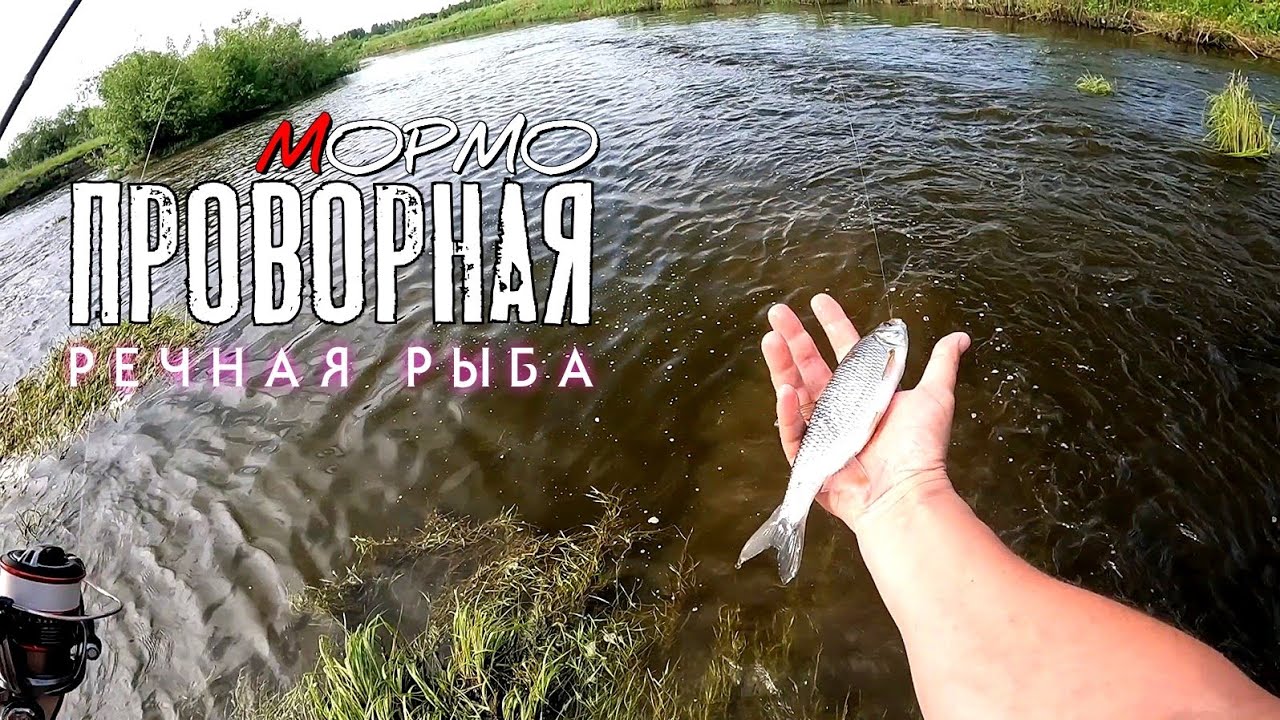 Отличный клёв ельца, окуня и плотвы на ультралайт. Мормышинг Наноджиг