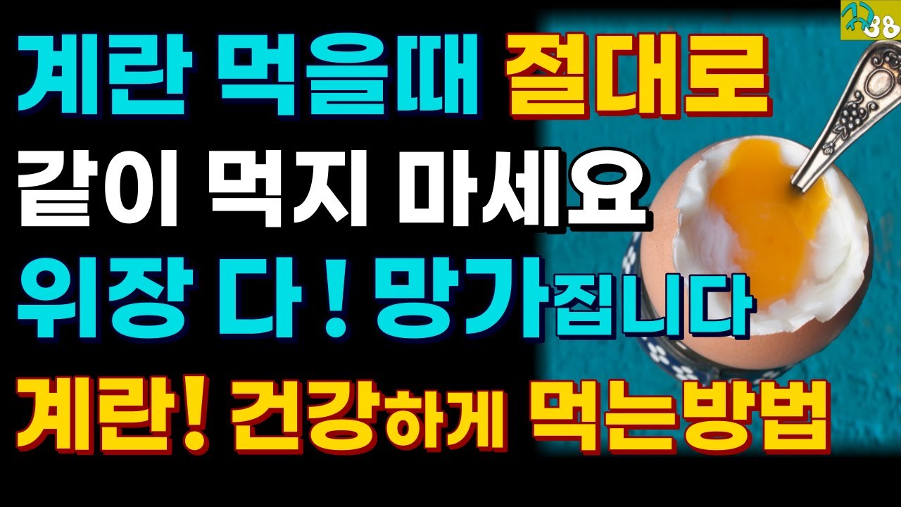 달걀 먹을때, 계란 먹을 때 절대로 이것 먹지 마세요!! 위장 대장 다 망가지고 장폐색 생깁니다-계란 건강하게 먹는 방법