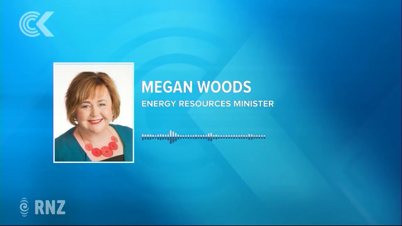 &lsquo;Most vulnerable households&rsquo; in energy hardship &ndash; Megan Woods