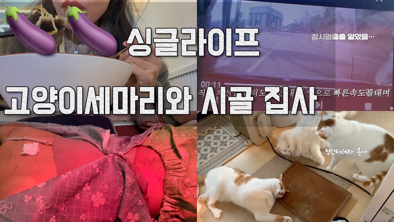나혼자 밥을먹고, 나혼자 사고나고, 나혼자...그렇지만 불행하진 않아