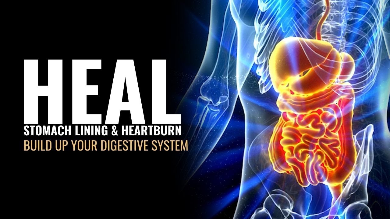 Build Up Your Digestive System | Heal Stomach Lining and Heartburn | Reset Your Gut Bacteria | 528Hz
