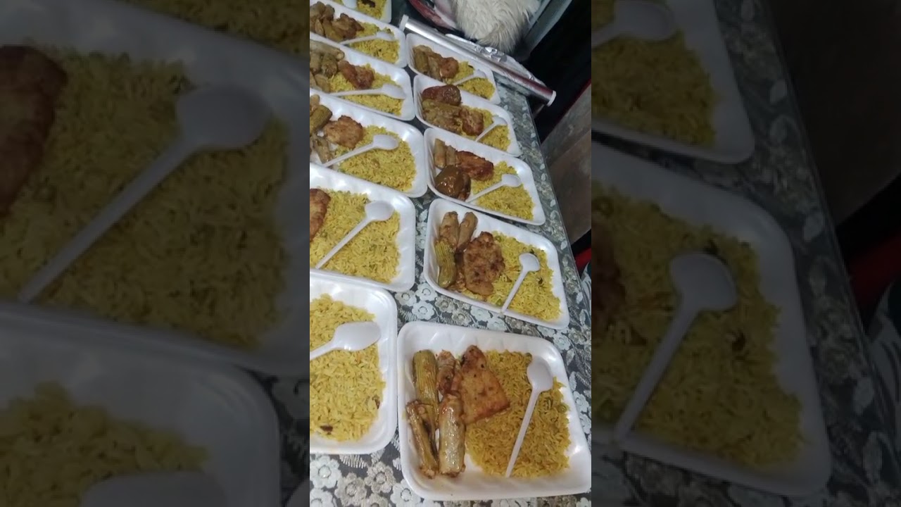 ١٥ يناير ٢٠٢٦
