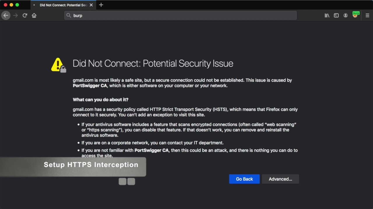 Burp Suite Course - 09 - Setup HTTPS Interception