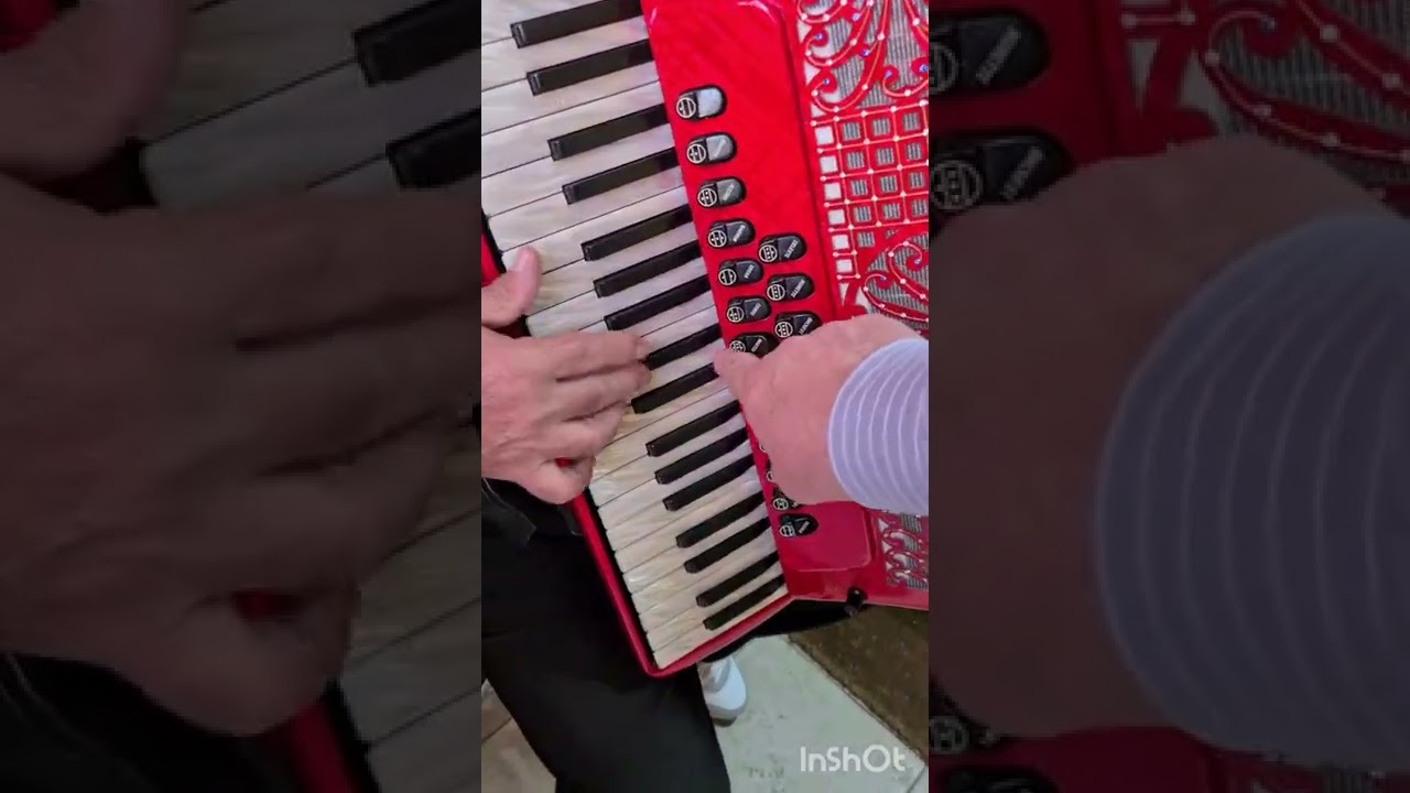 FISARMONICA PIATANESI 5/5 CONCERTO