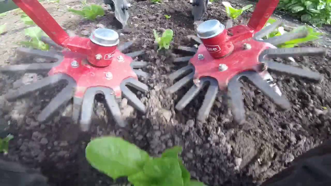 Steketee finger weeder.