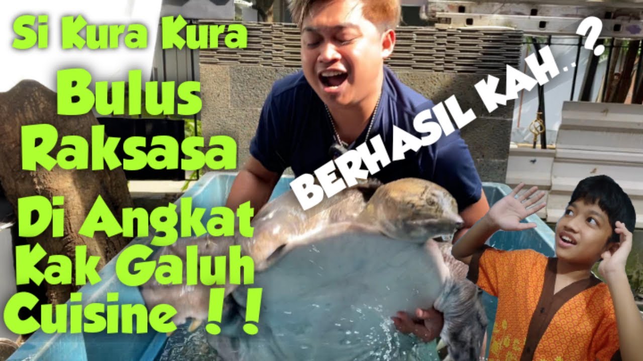 Berhasilkah Kak Galuh Angkat Bulus Raksasa Terbesar di Dunia.. ??!!