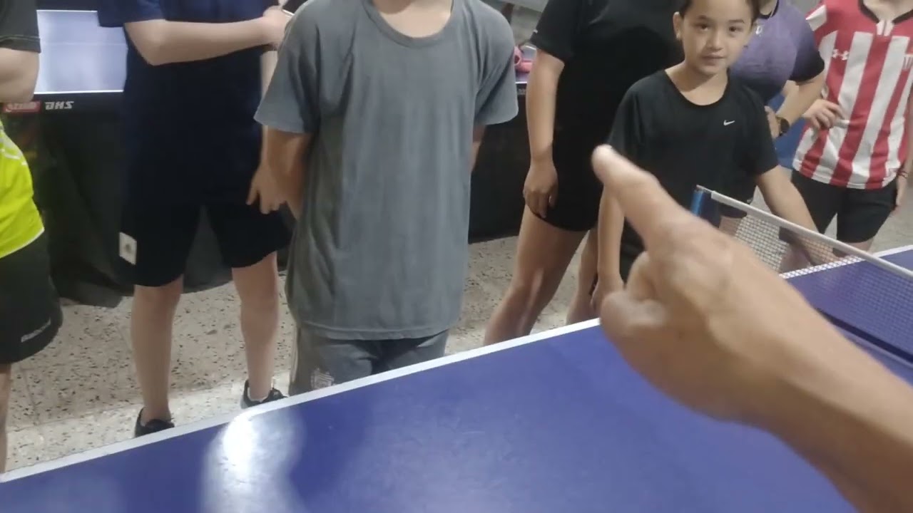 tenis de mesa-estilo de juego....