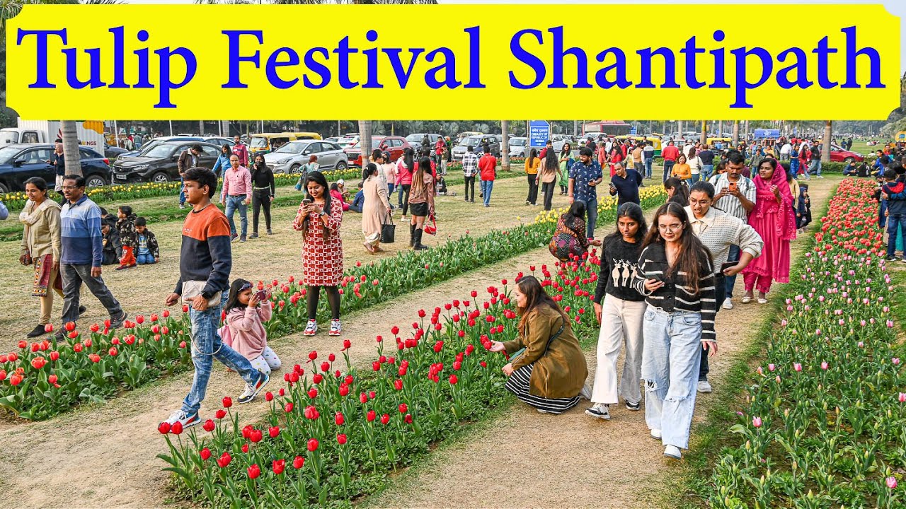 ट्यूलिप फेस्टिवल नई दिल्ली में हर साल आयोजित होने वाला एक शानदार फूलों का उत्सव है
