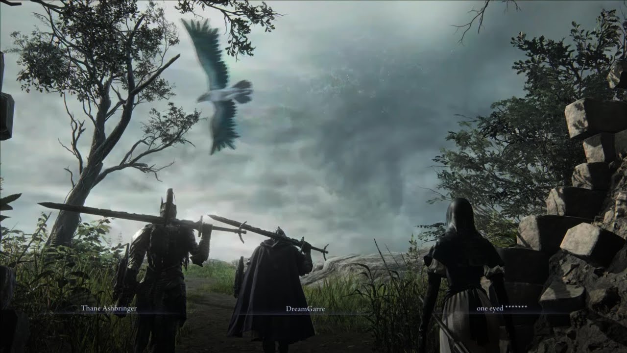 Elden Ring Nightreign - Night Aspect Expedition & Wylder Ending