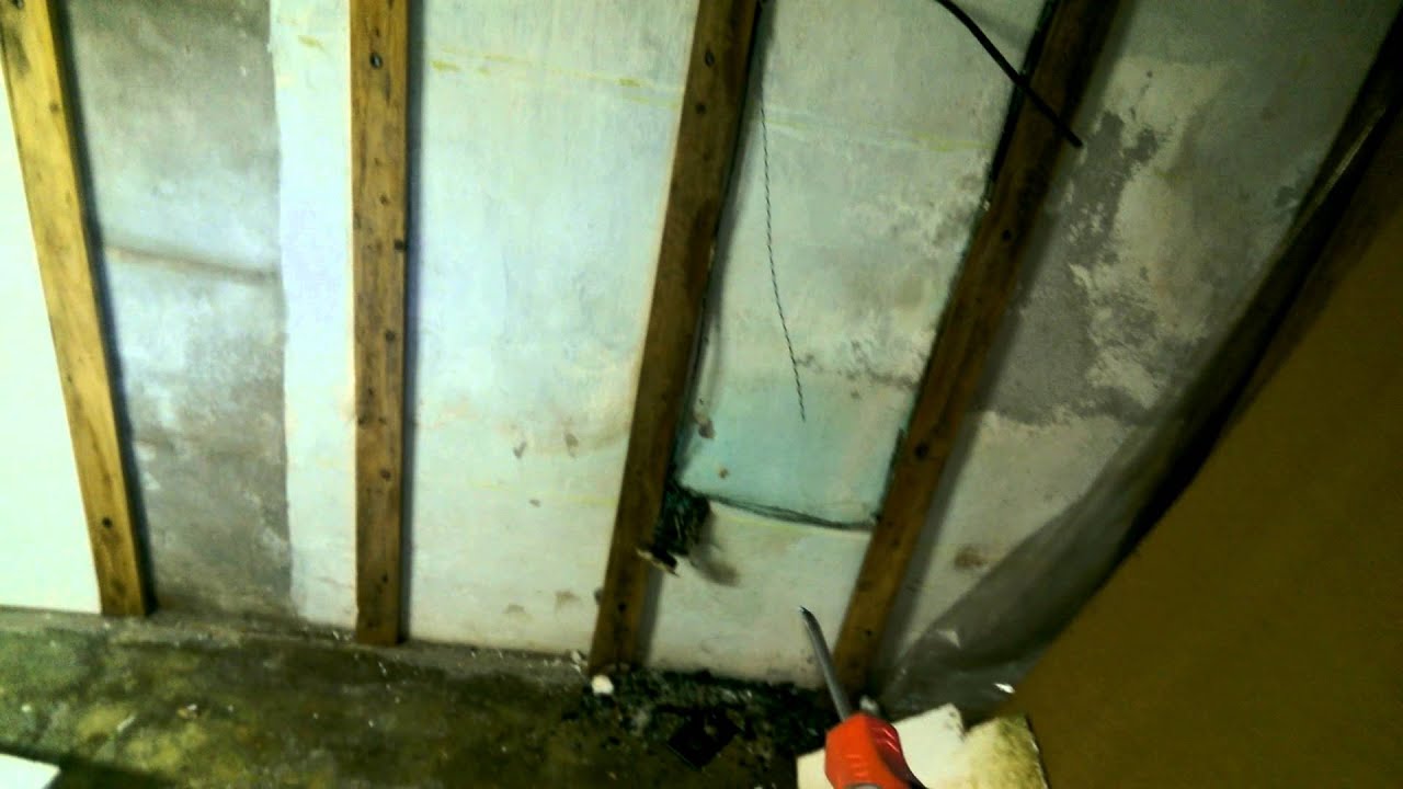 Jays basement demolition part 1