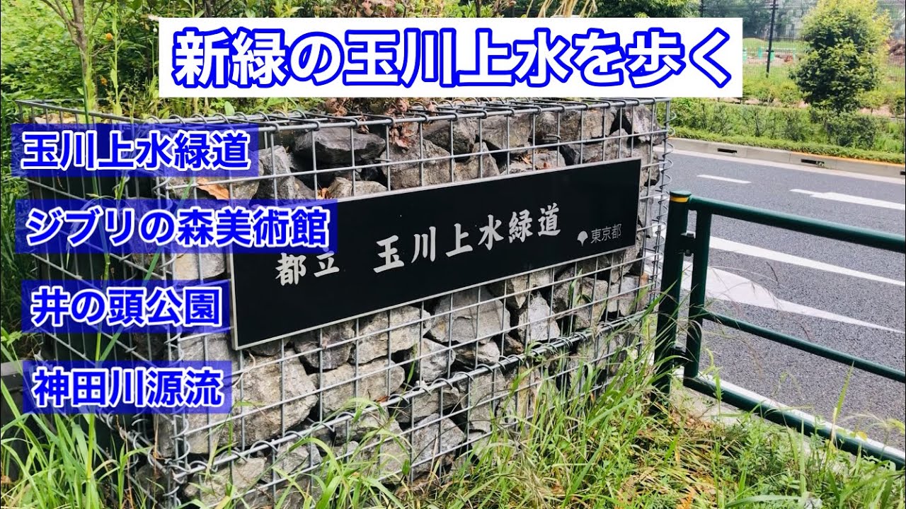 【三鷹市】新緑の玉川上水緑道は気持ちい散歩コース【武蔵野市】