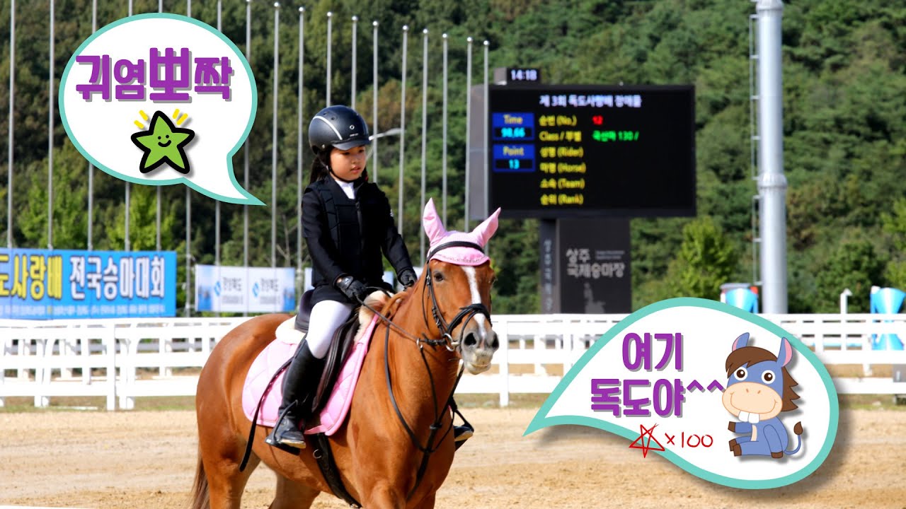 귀염뽀짝✨  미래의 승마의 샛별들  #독도사랑배  허들경기 🌟샛별이 왔다,