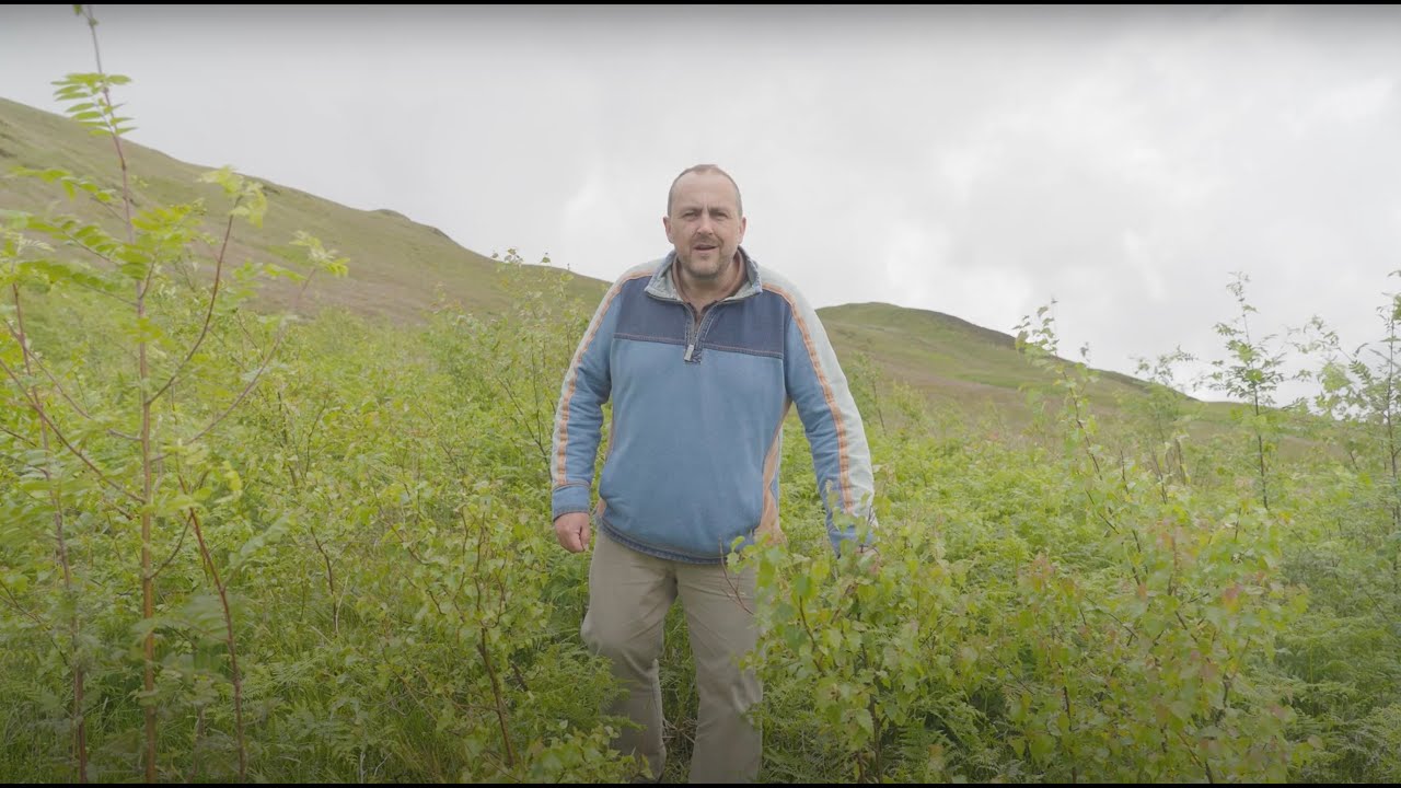 Alertacall - Celebrating 20 years by planting 20,000 trees in the beautiful Lake District.
