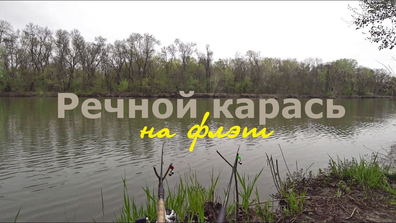 Флэт фидер весной: речной карась.