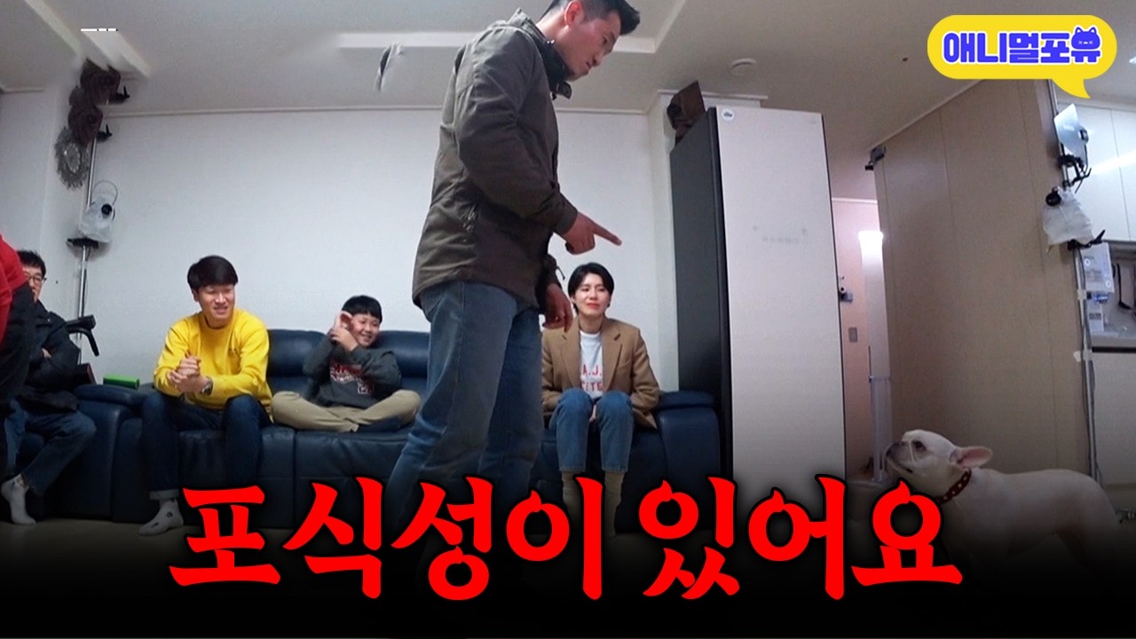 자기 보다 약한 사람만 찾아 서열질 하는 개, 강형욱과 제대로 붙었다ㅣKBS 개는 훌륭하다 210322 방송