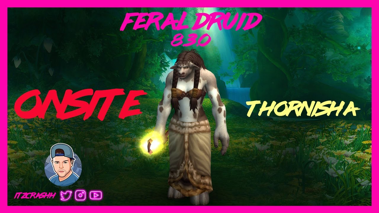 ONSITE - Feral Druid PVP - WoW BFA 8.3.0