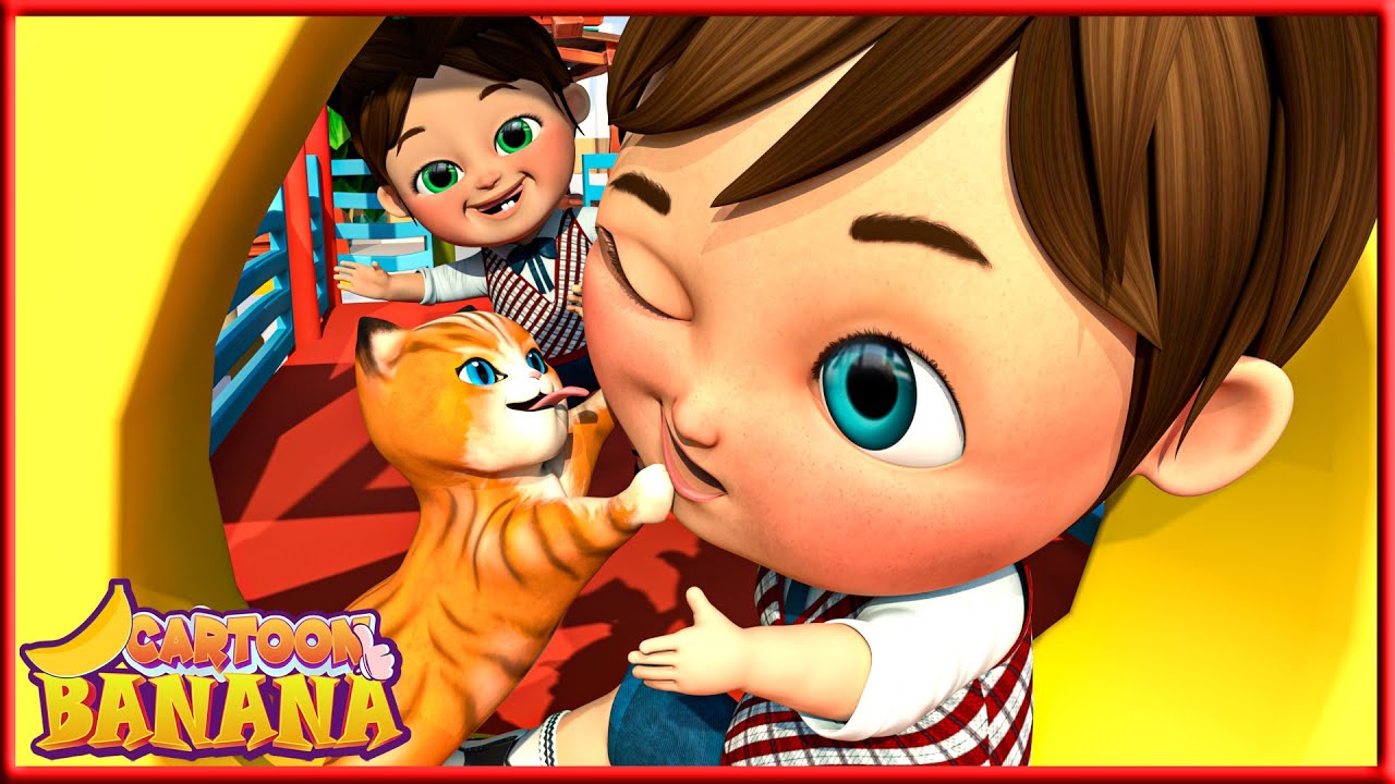 Gatinho Aventureiro - Canções para bebês - Canções infantis e canções infantis