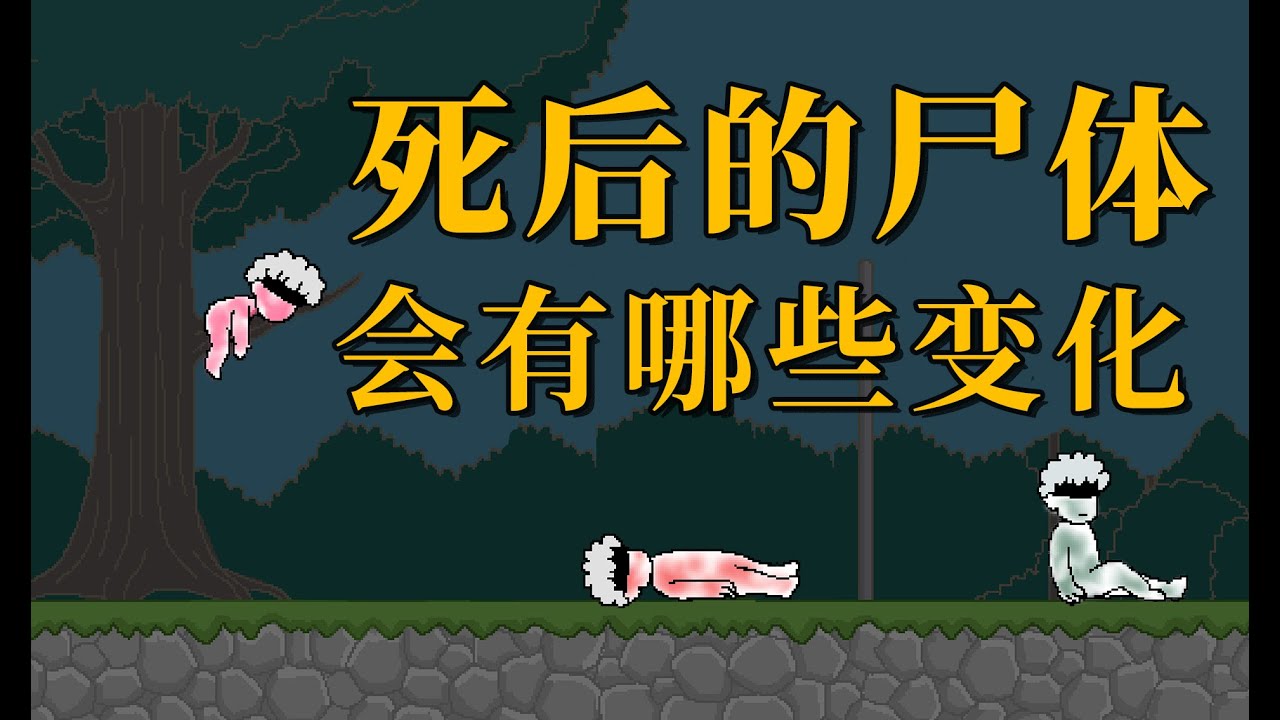 【李白尼】「2」不同死法，尸体会发生哪些神奇的变化