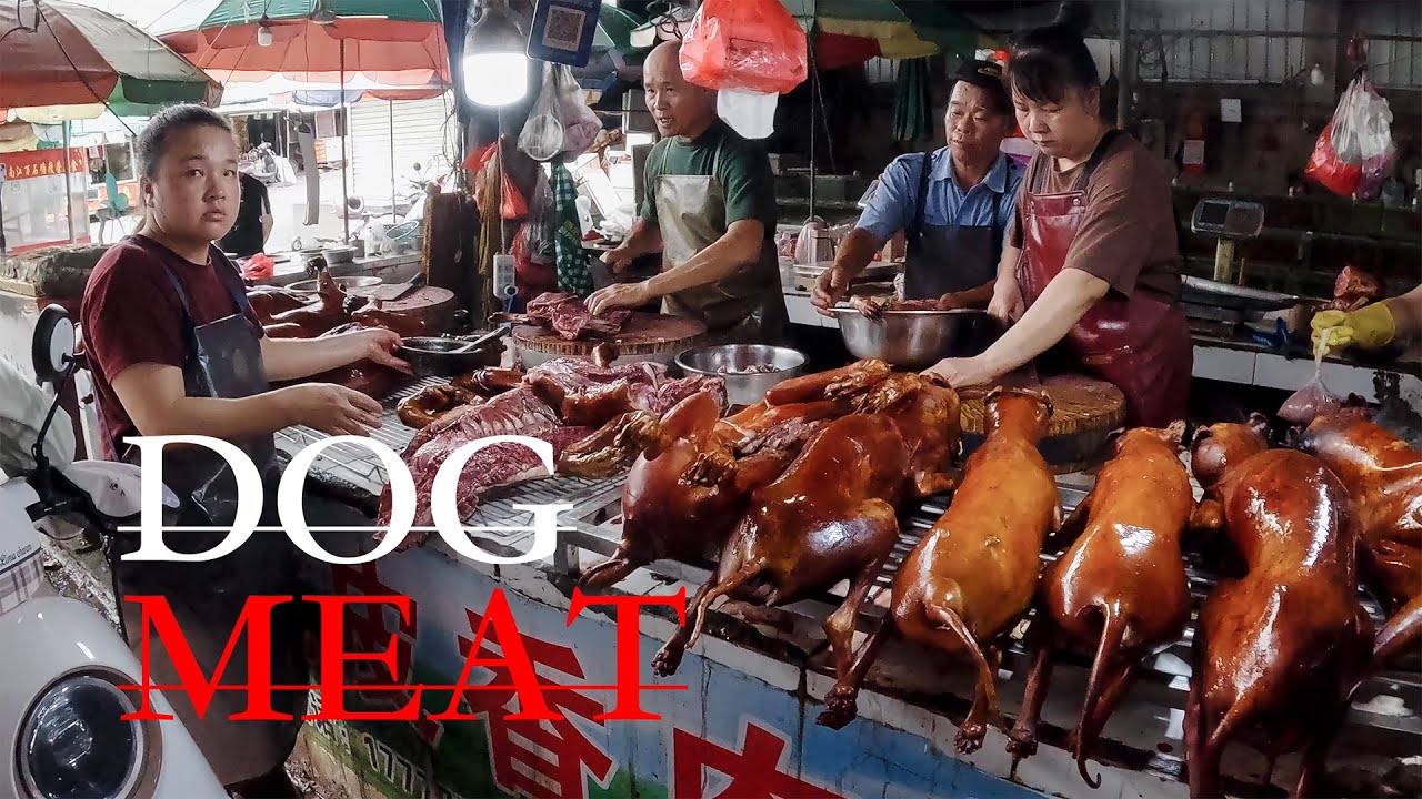 About Dog Meat: What I Saw in Yulin | Documentary