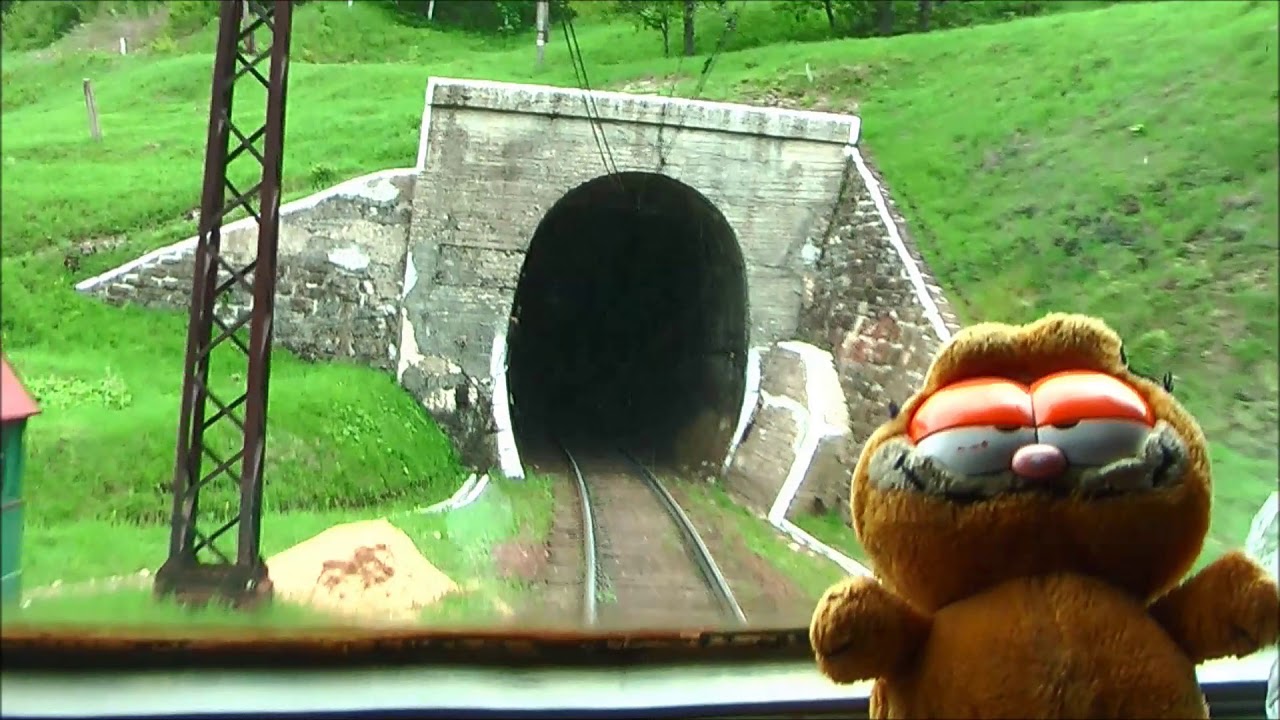 20th Century Travel Cat - train cab view - Ukraine, Carpathians