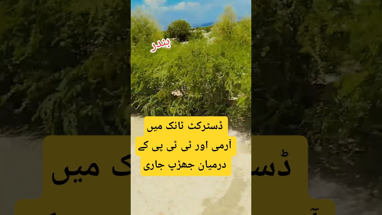 TTP VS Pakistani army | Pakistan army vs TTP | Pakistan war on terror #ttp #shorts #pakistan