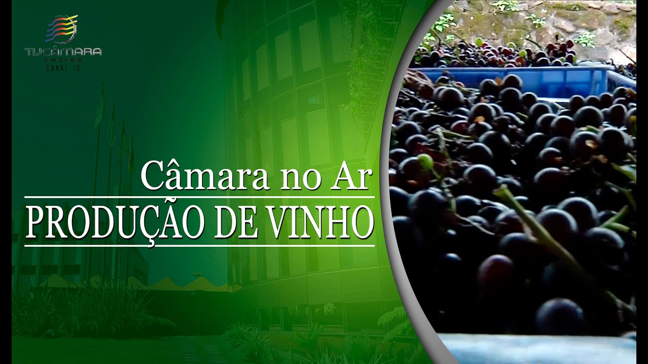 Câmara no Ar - Produção de Vinho