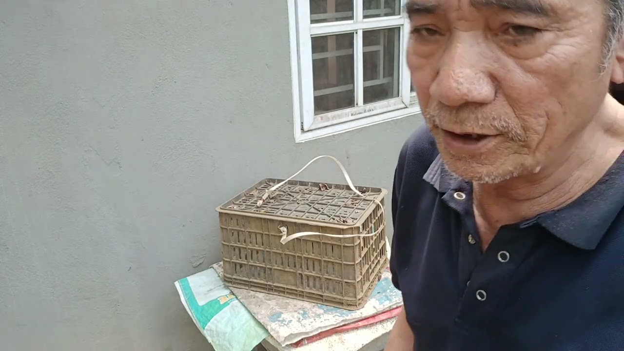 17, tháng 3  năm 2026 #matongnguyenchat 
