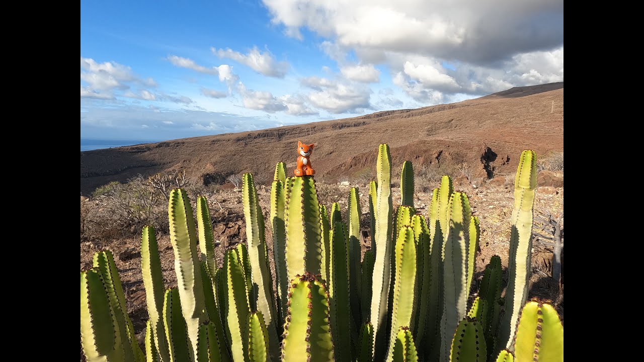 Wandern des GR 132 auf der Wanderinsel La Gomera