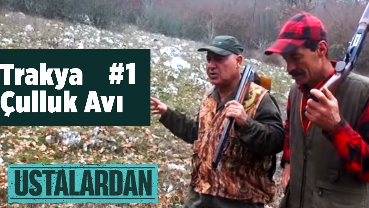 Trakya &Ccedil;ulluk Avı 1 Ustalardan Yaban Tv Woodcock Hunting