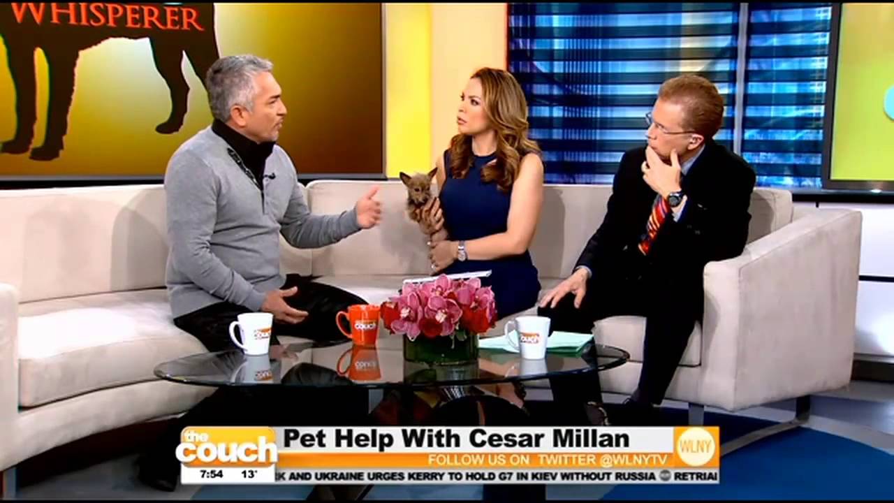 'The Dog Whisperer' Cesar Milan Stops By The Couch