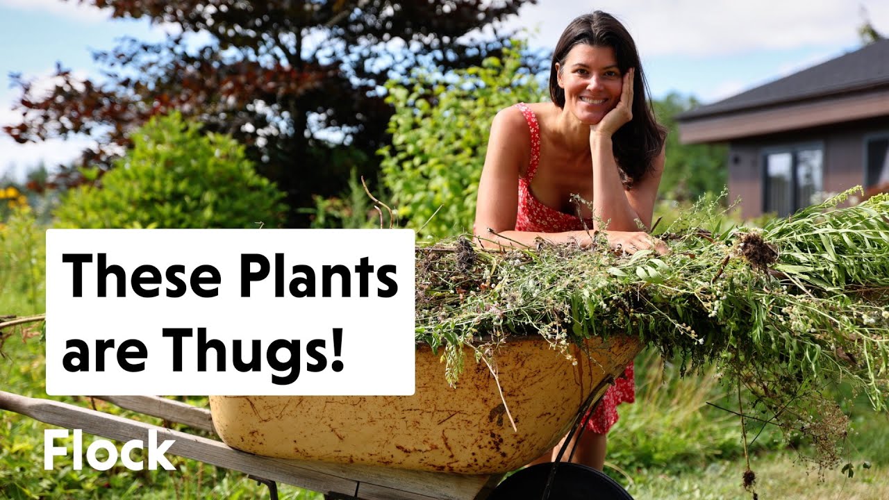 How To Manage a Wild Garden 🌿🌸 || Flock Finger Lakes
