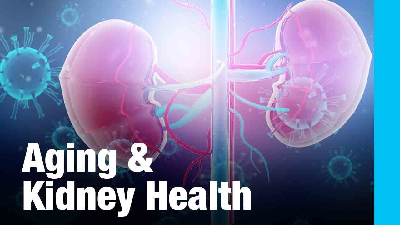 Aging and Kidney Health