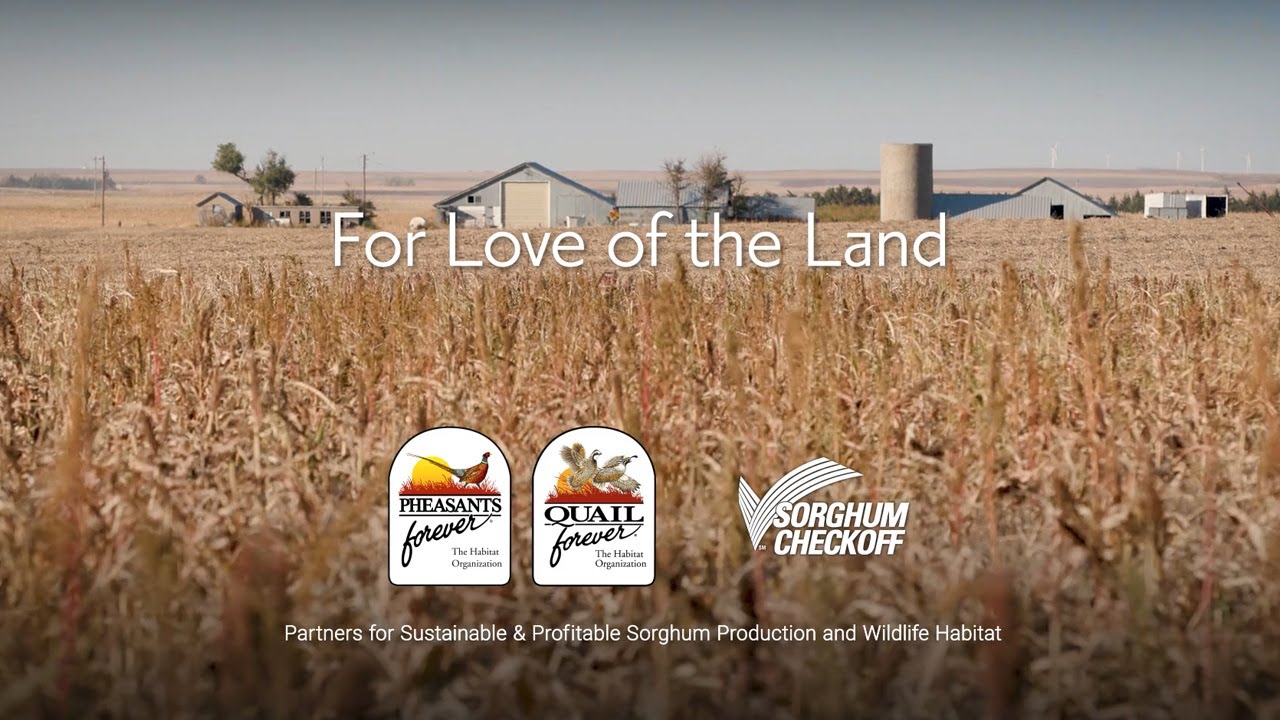 For Love of the Land
