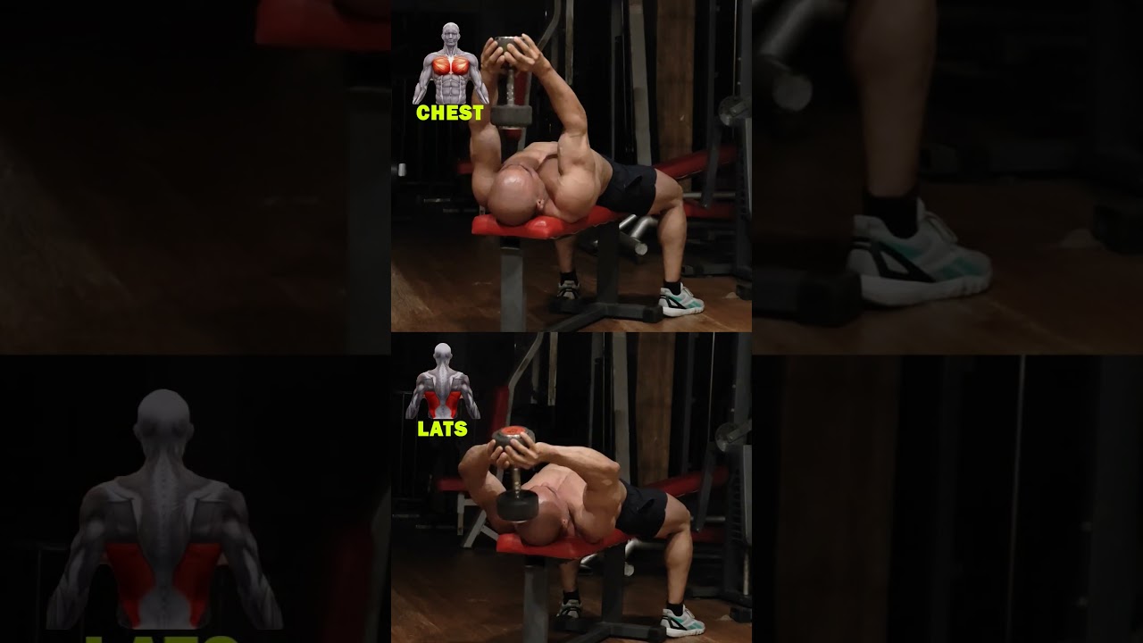 "Dumbbell Pullovers: Targeting Lats vs. Chest Explained!"