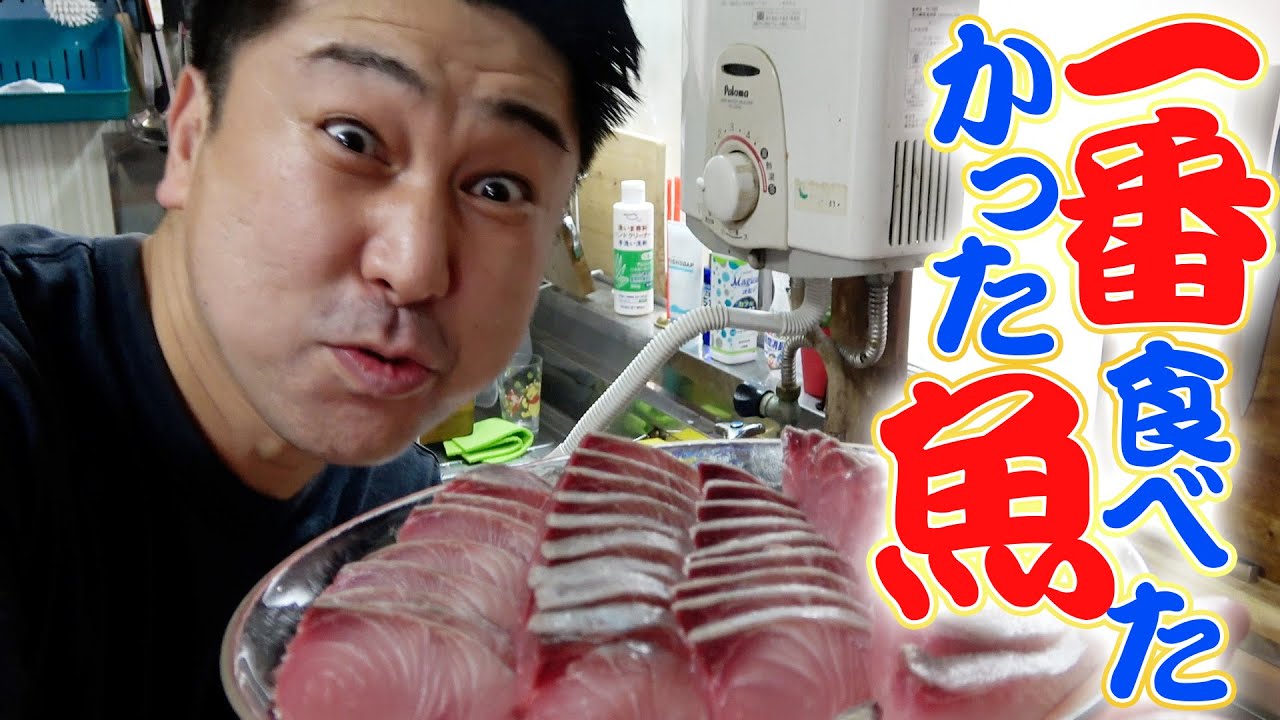 ついに手に入りました！一番食べてみたかったお魚を捌いてお刺身とフライにしてみたよ！