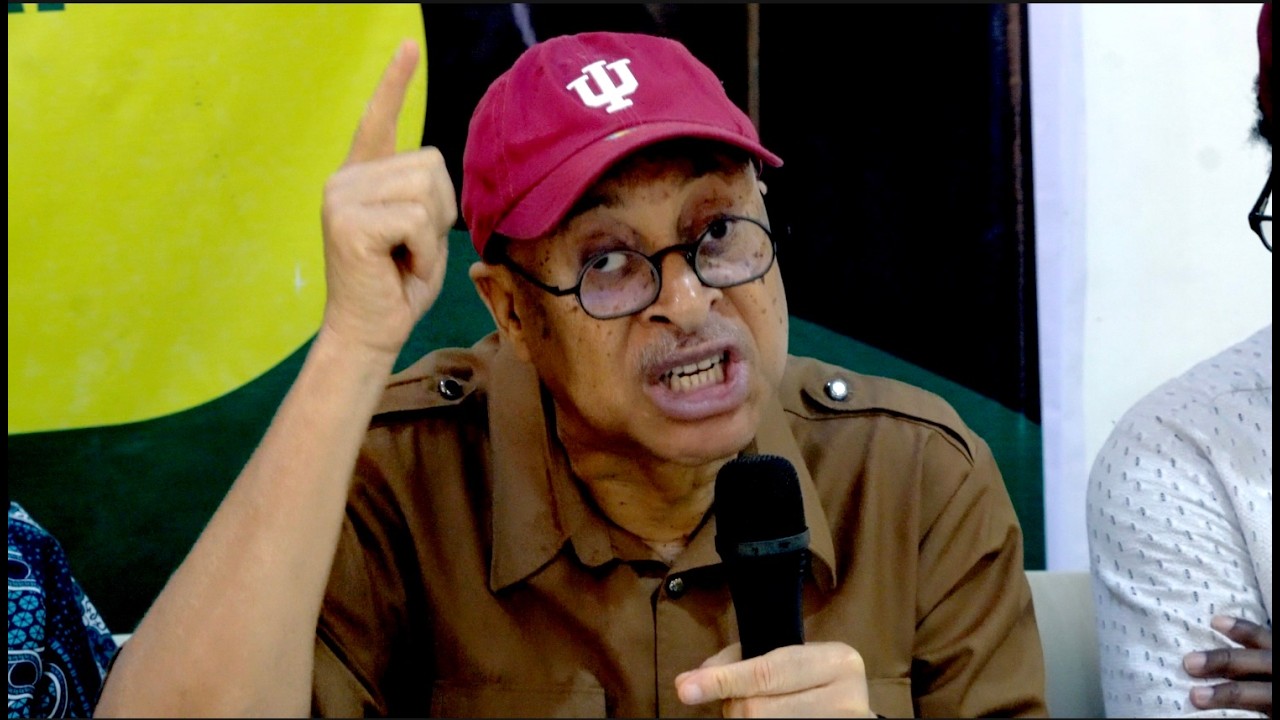 Prof. Pat Utomi Accuses NASS of Electoral Act Coup, Slams Seun Okinbaloye of Channels TV