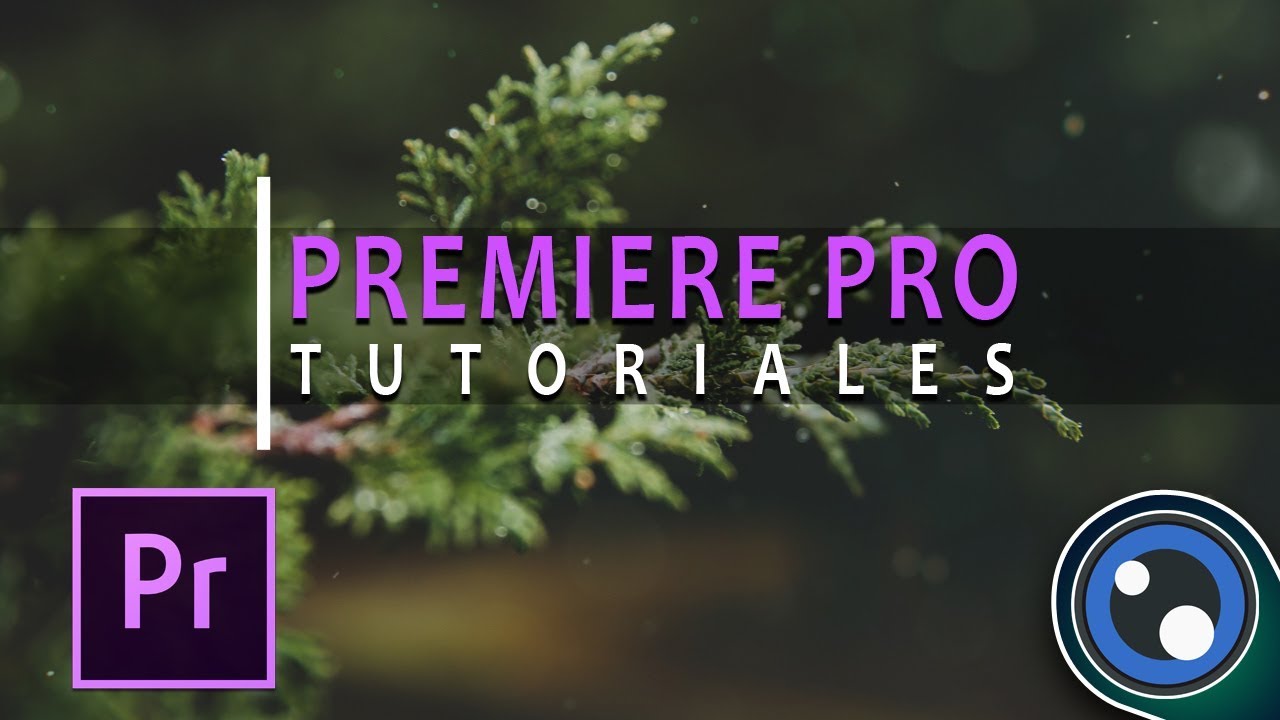 (4/5) Animando títulos elegantes en Premiere / Tutorial