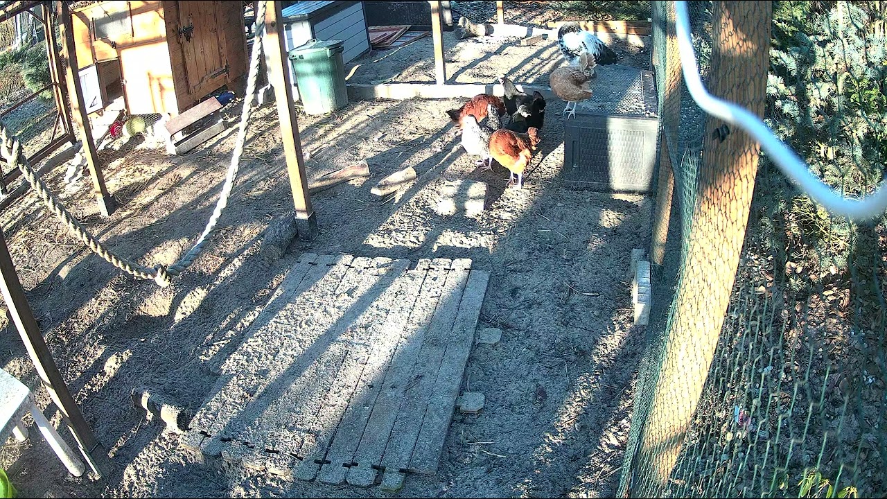 Calm & Sunny March Morning ( Raw Data 02.03.2026)