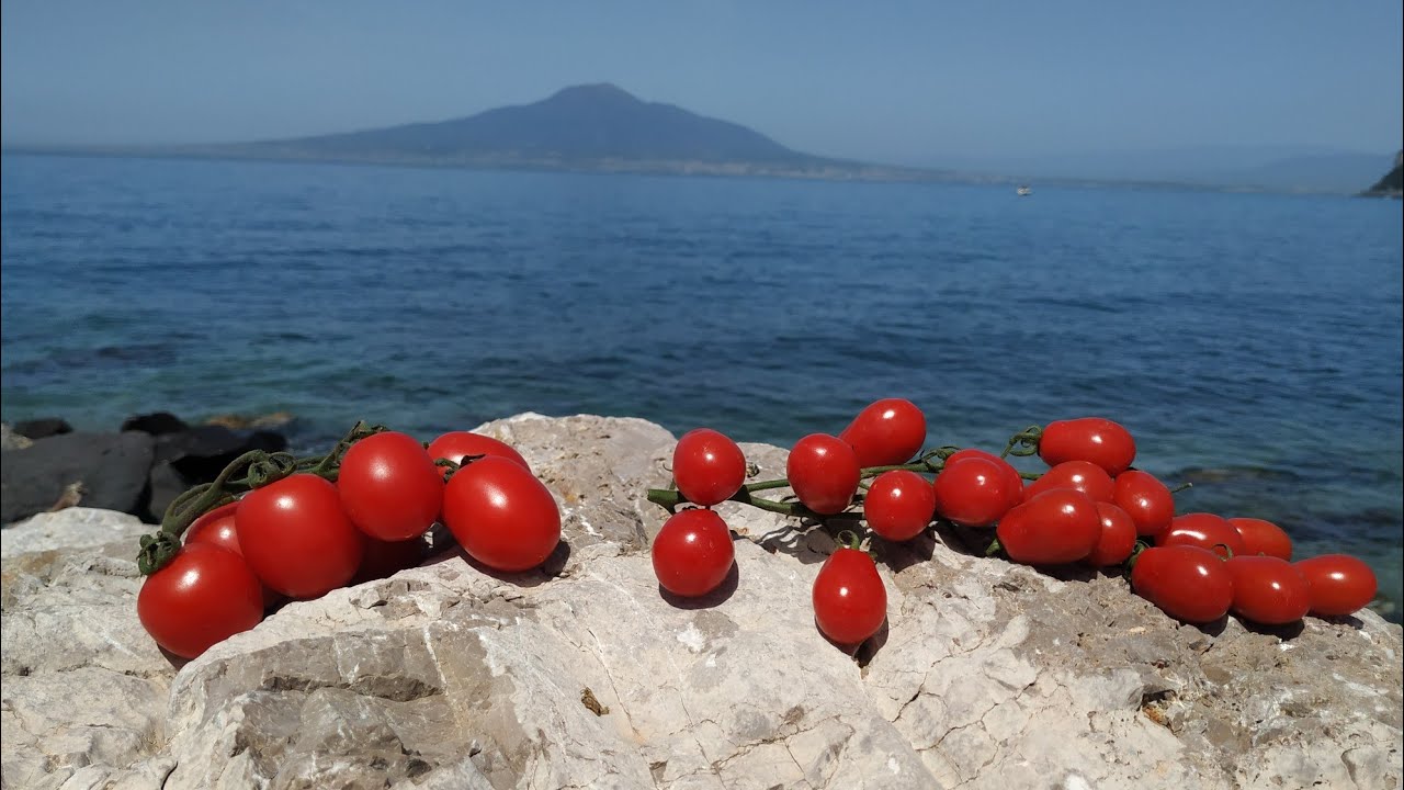 Italian Tomatoes (Gragnano vs Datterino)