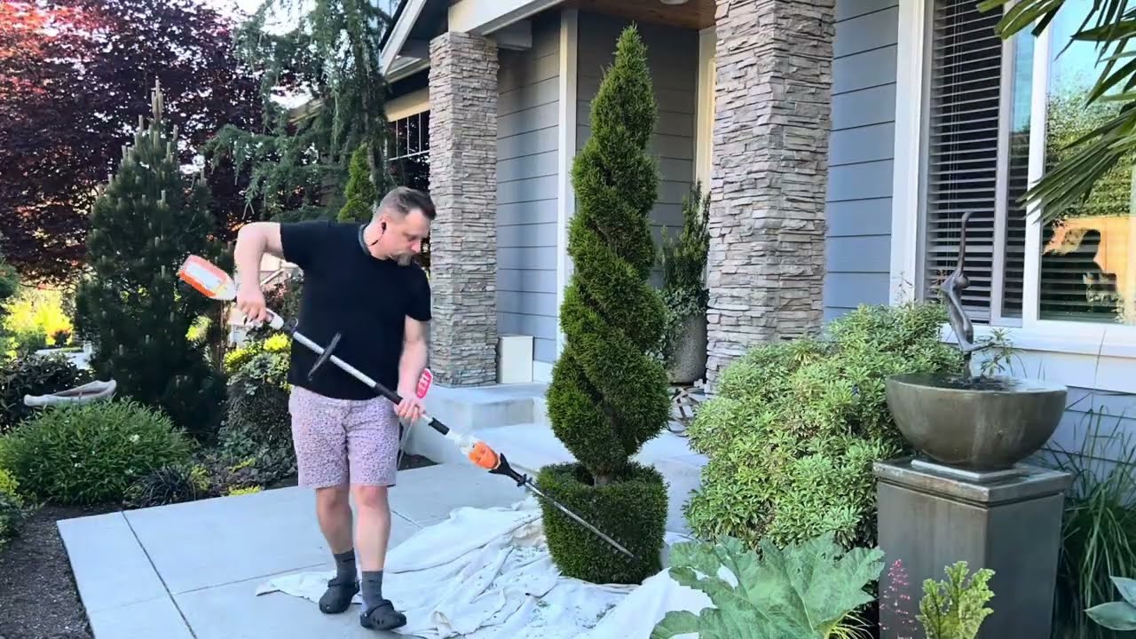 Master the Art of Spiral Topiary! 🌲 Easy Steps to Train & Trim Arborvitae Trees Like a Pro!
