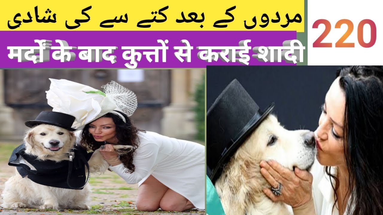Aurat ki kutte se shadi | shadi | marriage | dog marriage