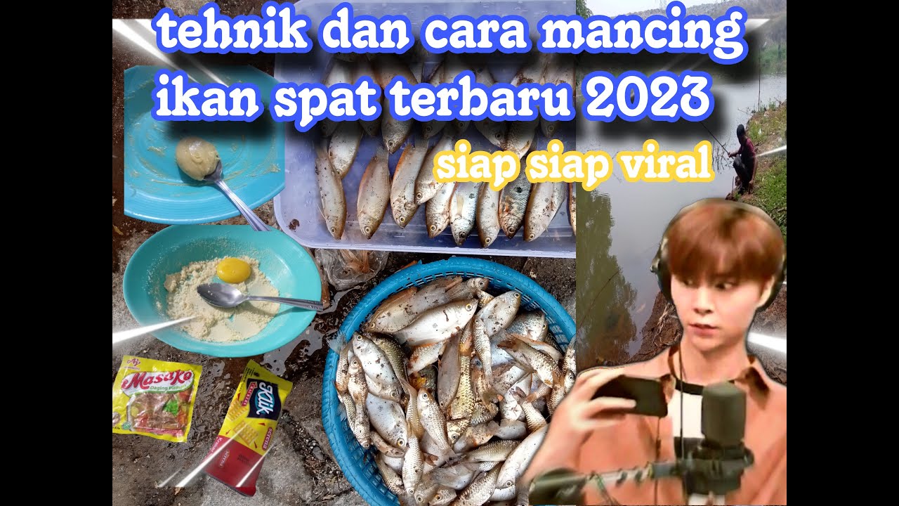 TEHNIK DAN CARA MANCING IKAN SEPAT TOMPEL TERBARU 2023